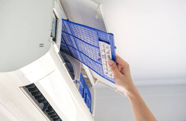 Best Air Duct Cleaning Near Me  in Wartburg, TN
